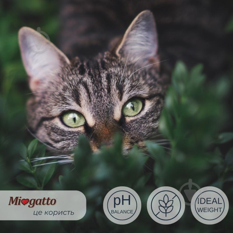 Корм вологий беззерновий для стерилізованих котів Morando Miogatto Sterilized з куркою та морквою 100 г - фото 2