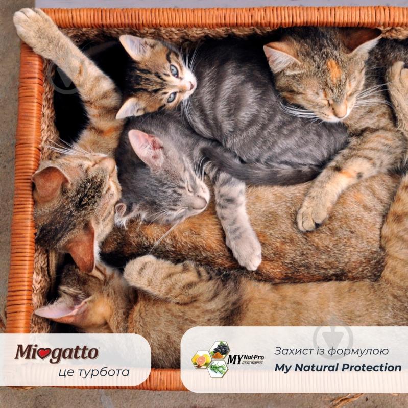 Корм вологий беззерновий для стерилізованих котів Morando Miogatto Sterilized з куркою та морквою 100 г - фото 4