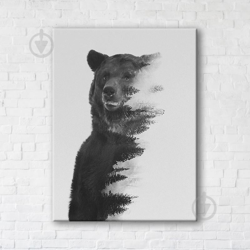 Постер Gray Bear 75x100 см Brushme - фото 1