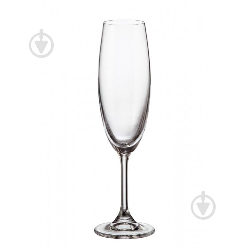 Набір бокалів для шампанського Bohemia Sylvia b4S415 220 мл 2 шт. - фото 1 Набір бокалів для шампанського Bohemia Sylvia b4S415 220 мл 2 шт. - фото 1