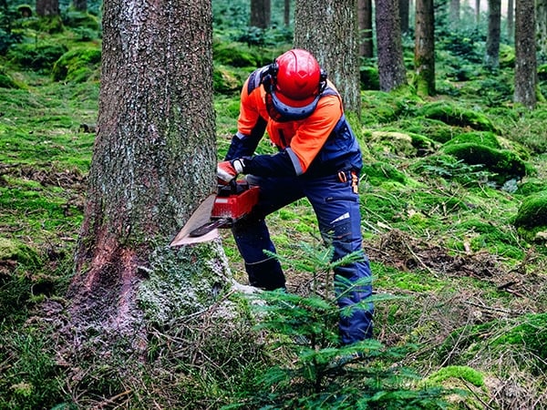 Пила цепная аккумуляторная Einhell Professional PXC GP-LC 36/40 Li BL - Solo - фото 5 Пила цепная аккумуляторная Einhell Professional PXC GP-LC 36/40 Li BL - Solo - фото 5