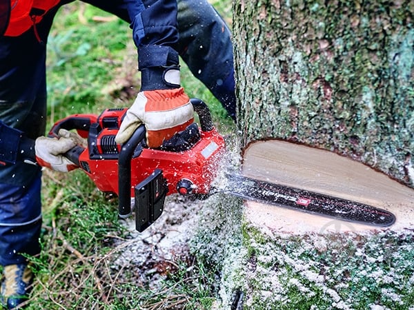 Пила цепная аккумуляторная Einhell Professional PXC GP-LC 36/40 Li BL - Solo - фото 6 Пила цепная аккумуляторная Einhell Professional PXC GP-LC 36/40 Li BL - Solo - фото 6