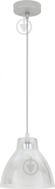 Подвес TK Lighting Kiwi 1x60 Вт E27 прозрачный 1812 - фото 1