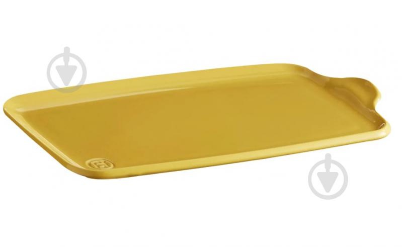 Блюдо-таця 31x16 см Ovenware (905004) Emile Henry - фото 1