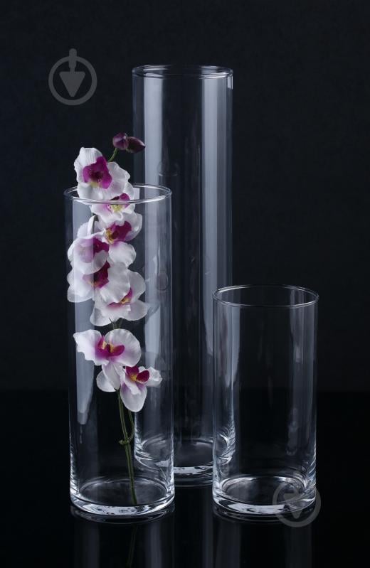 Ваза стеклянная Wrzesniak Glassworks 10х40 см 40 см прозрачная - фото 3 Ваза стеклянная Wrzesniak Glassworks 10х40 см 40 см прозрачная - фото 3