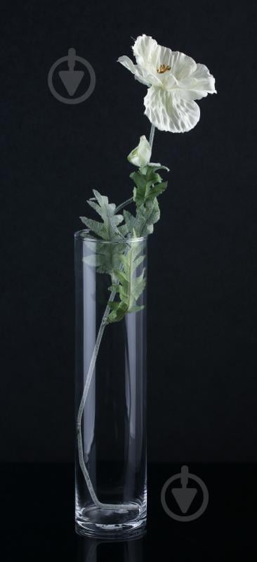 Ваза стеклянная Wrzesniak Glassworks 10х40 см 40 см прозрачная - фото 2 Ваза стеклянная Wrzesniak Glassworks 10х40 см 40 см прозрачная - фото 2