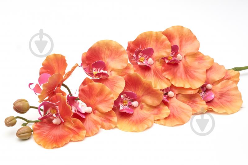 Цветок искусственный Фаленопсис 98 см терракотовый Девилон - фото 2