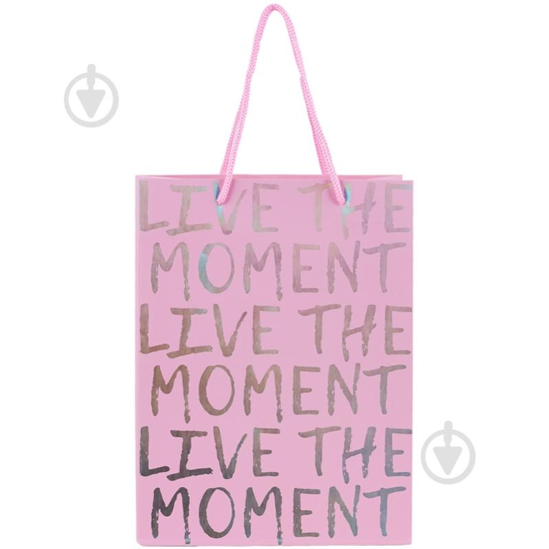 Пакет подарунковий Live the moment 8501-29-A 18х24 см Axent - фото 1 Пакет подарунковий Live the moment 8501-29-A 18х24 см Axent - фото 1