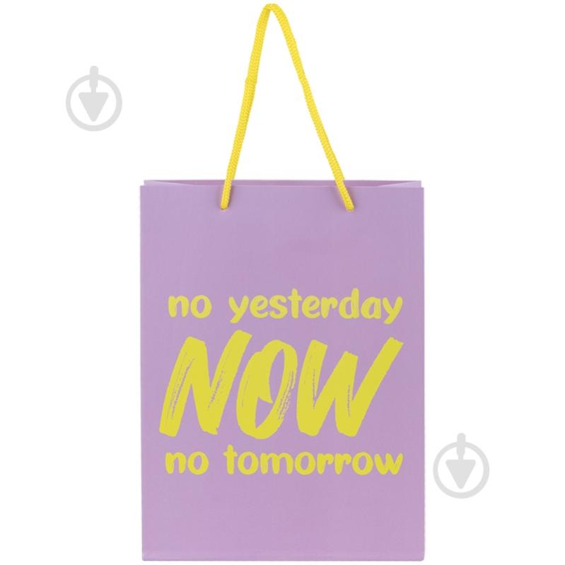 Пакет подарочный NOW 8501-27-A 18х24 см Axent - фото 1 Пакет подарочный NOW 8501-27-A 18х24 см Axent - фото 1