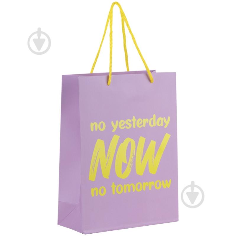 Пакет подарочный NOW 8501-27-A 18х24 см Axent - фото 2 Пакет подарочный NOW 8501-27-A 18х24 см Axent - фото 2