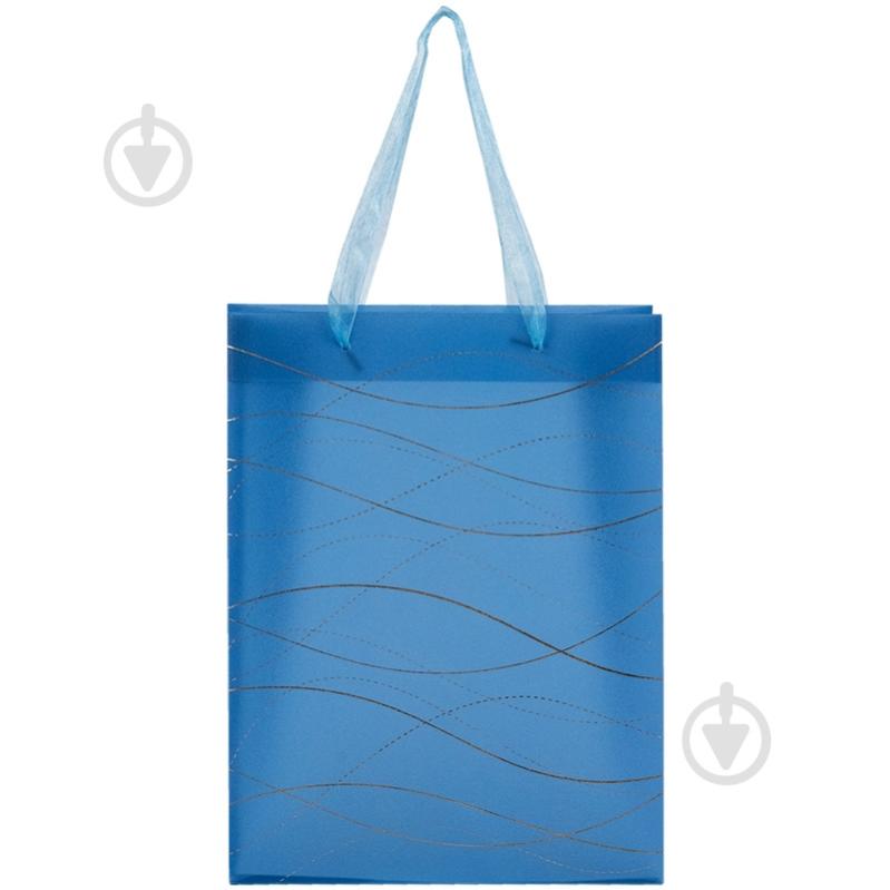 Пакет подарочный Waves-2 8503-30-A 25х19 см Axent - фото 1 Пакет подарочный Waves-2 8503-30-A 25х19 см Axent - фото 1