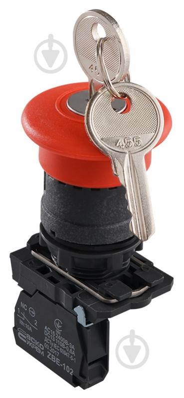 Кнопка Аско-Укрем TB5-AS142 A0140010162 - фото 1