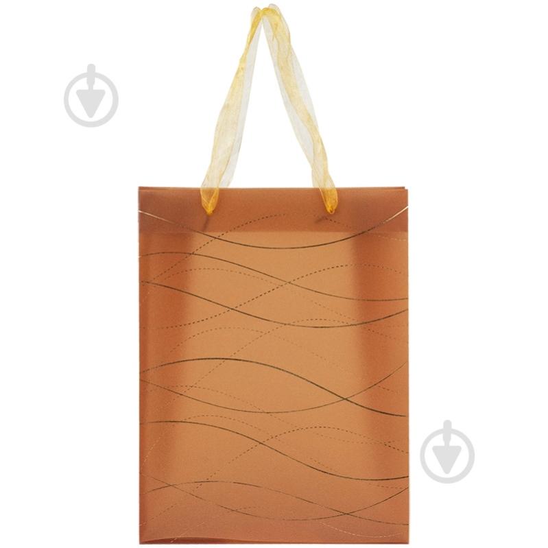 Пакет подарочный Waves-1 8503-29-A 25х19 см Axent - фото 1 Пакет подарочный Waves-1 8503-29-A 25х19 см Axent - фото 1