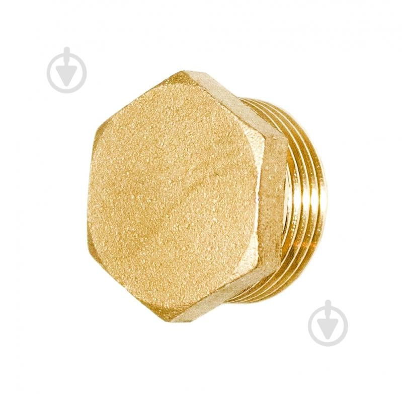 Заглушка Water House 2" Н FT - фото 1