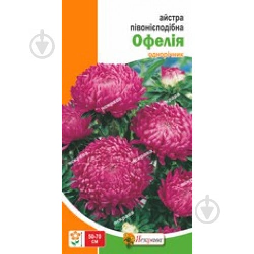 Насіння Яскрава айстра піоновидна Офелія - фото 1