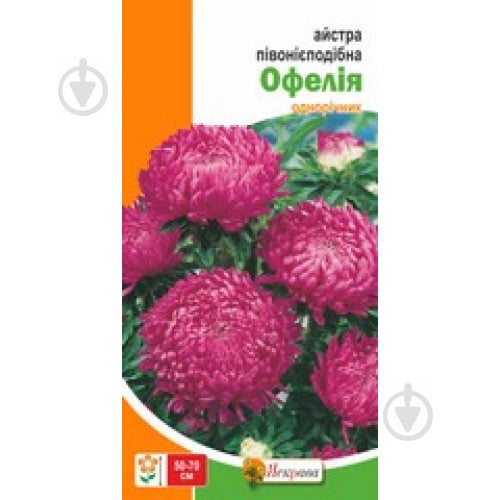 Насіння Яскрава айстра піоновидна Офелія - фото 2