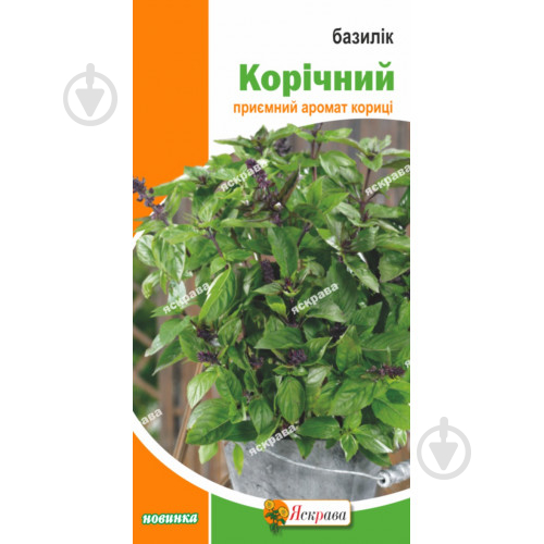 Насіння Яскрава базилік Коричний 0,3 г - фото 1