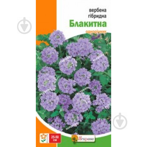 Насіння Яскрава вербена гібридна Блакитна - фото 1