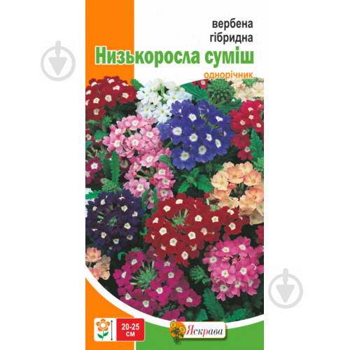Насіння Яскрава вербена гібридна низькоросла суміш - фото 2