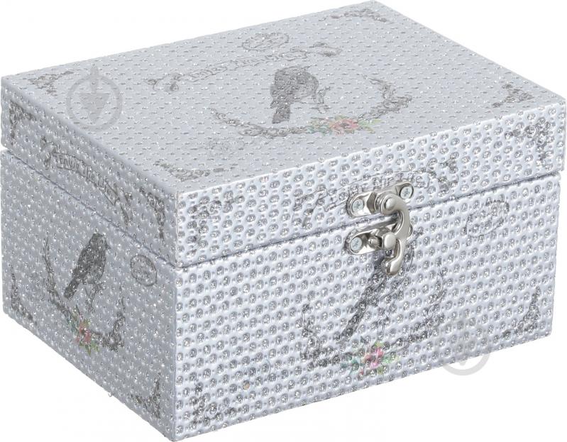 Шкатулка для украшений Silver 16х12х9 см - фото 1