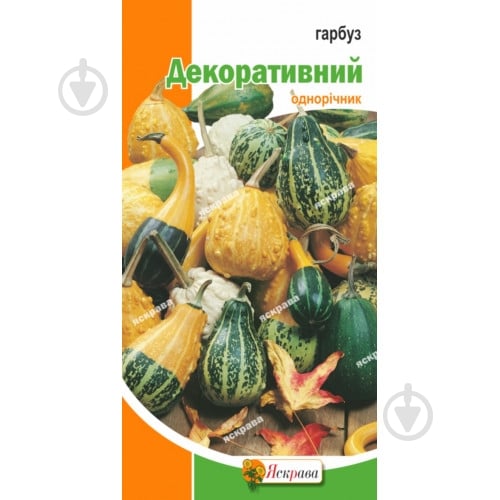 Семена Яскрава тыква Декоративная (4823069805234) - фото 1