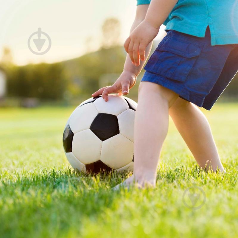 Семена Compo для газона Game & Sports, 4 кг 4 кг - фото 6