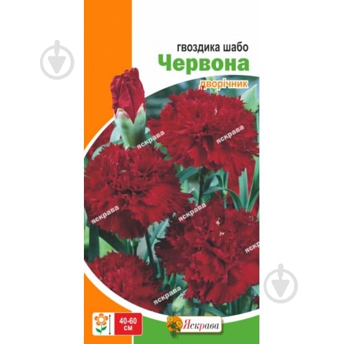 Семена Яскрава гвоздика шабо Красная - фото 1