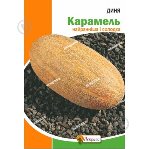 Насіння Яскрава диня Карамель 10 г (4823069861858) - фото 1