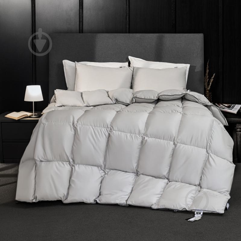 Одеяло пуховое № 066 Silver Cloud зима 220x240 см MirSon серебряный - фото 5