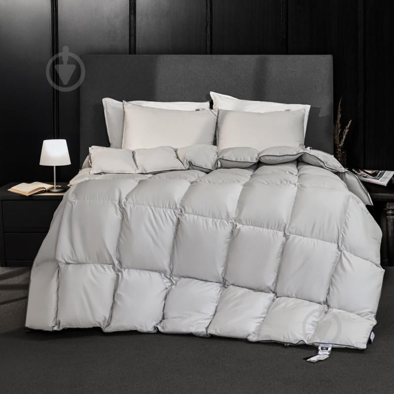 Ковдра пухова № 067 Silver Cloud зима+ 220x240 см MirSon срібний - фото 1
