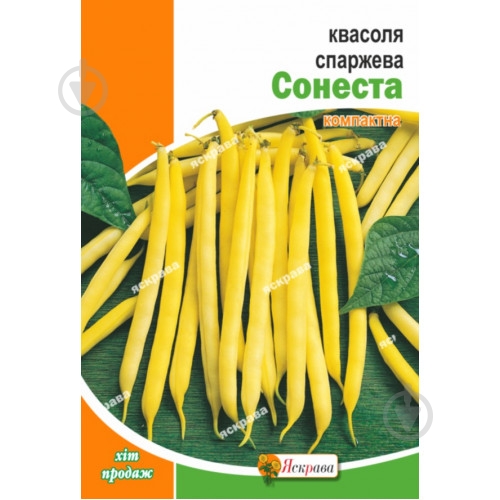 Семена фасоль Сонеста 10 г Яскрава - фото 1 Семена фасоль Сонеста 10 г Яскрава - фото 1