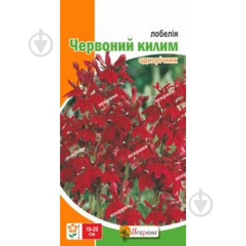 Насіння Яскрава лобелія Червоний килим - фото 1