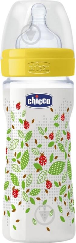 Пляшка Chicco Well-Being пластикова 250 мл з силіконовою соскою нейтральна - фото 1