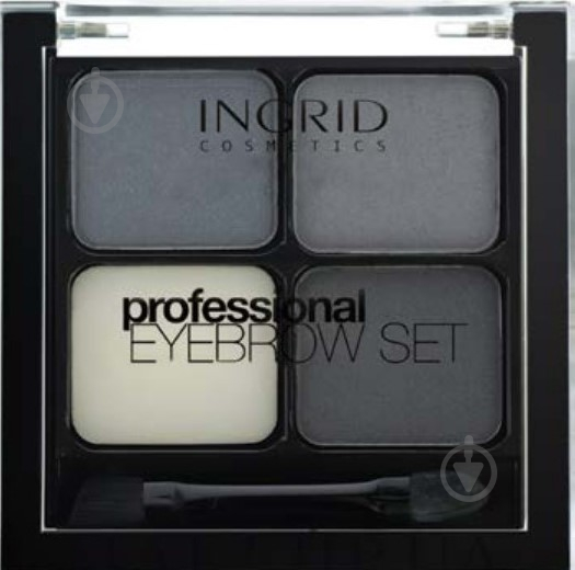 Тени для бровей и век Ingrid Cosmetics Professional Eyebrow Set графит 5 г - фото 1