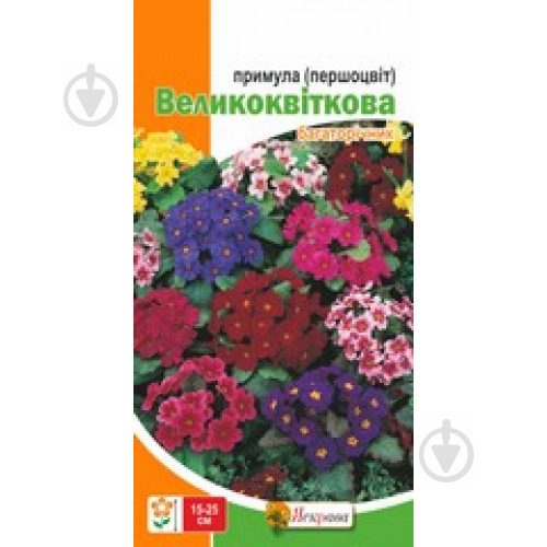 Насіння Яскрава примула Першоцвіт великоквітковий суміш - фото 2