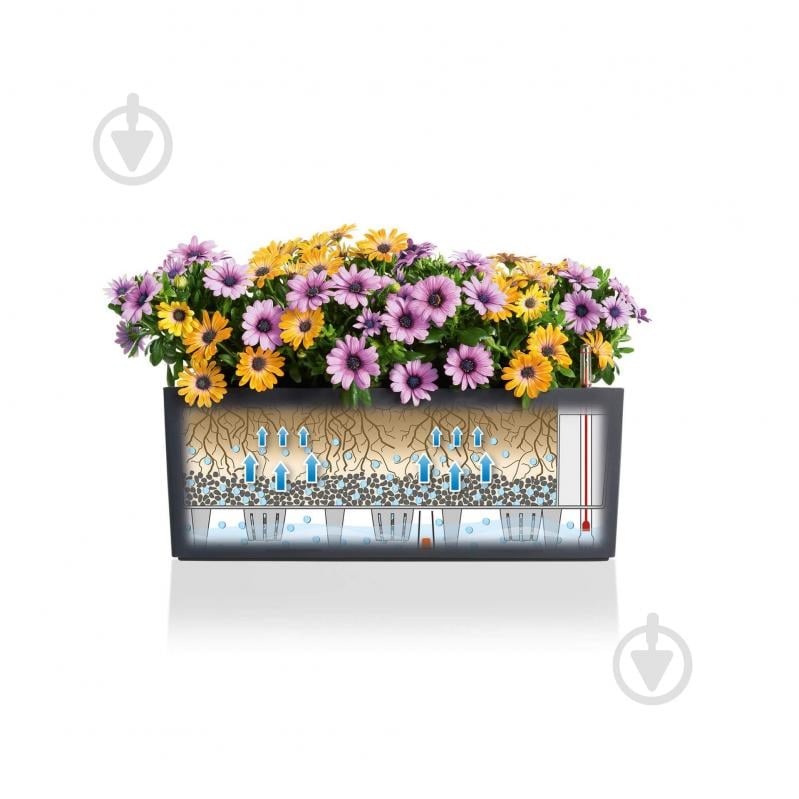 Кашпо Lechuza Balconera Color 50 прямокутний 8 л сірий (15673) - фото 4