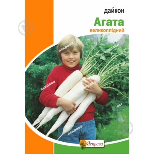 Семена Яскрава редька Дайкон агата 10 г (4823069918644) - фото 1