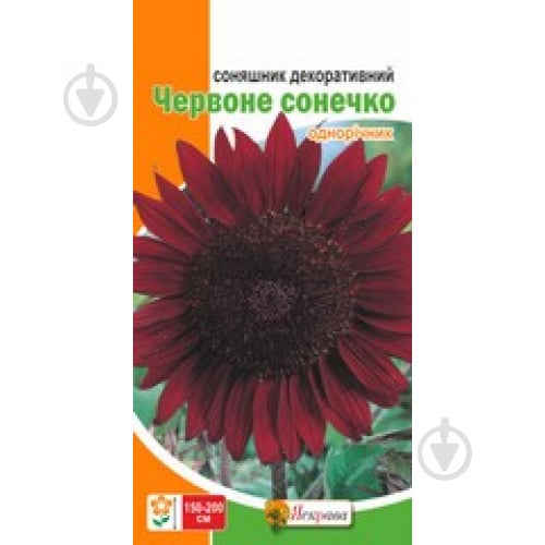 Насіння Яскрава соняшник декоративний Червоне Сонечко - фото 2