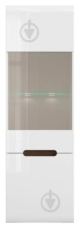 Вітрина BRW AZTECA TRIO 1W1д 1930х600х410 мм білий глянець / (S504-REG1W1D/19/6-BI/BIP) - фото 1