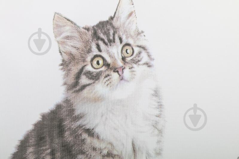 Штора для душа Bacchetta Kitten Grigio 07 - фото 2