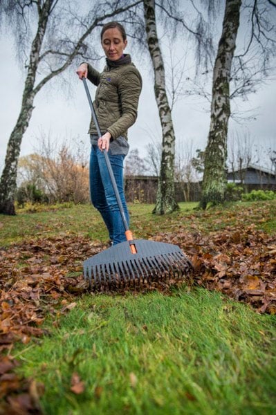 Грабли зубчатые Fiskars для листьев большие Solid Fiskars L (1014915) - фото 3