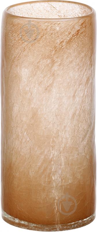 Ваза Hazelnut 26,5 см 26,5 см Другое - фото 1 Ваза Hazelnut 26,5 см 26,5 см Другое - фото 1