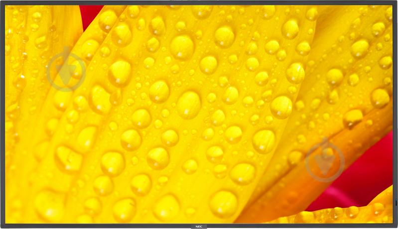 Монитор NEC MultiSync ME551 54,6" (60005057) - фото 1