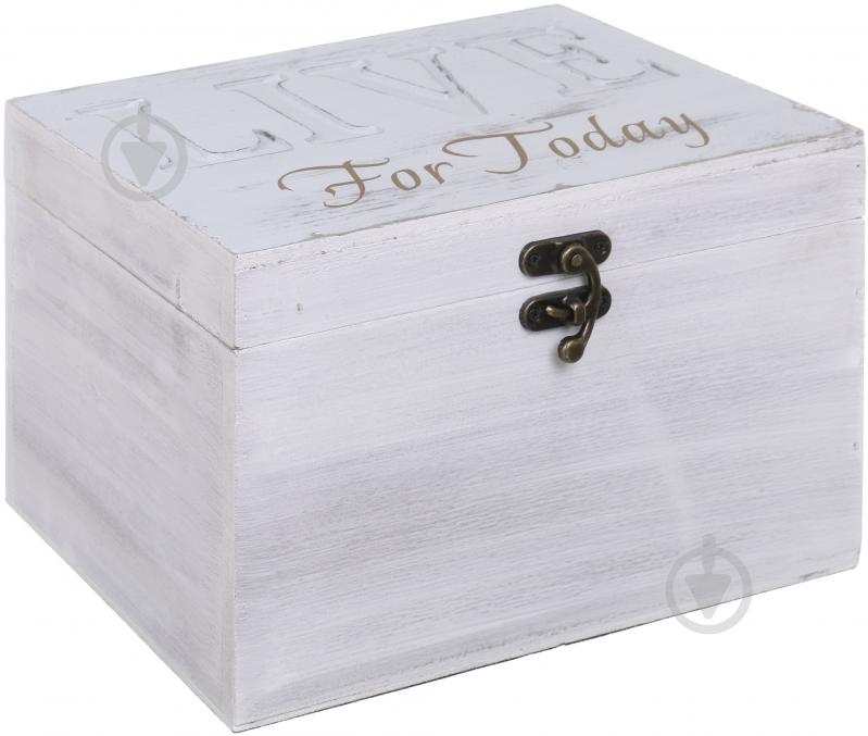 Скринька Live SH72308-M 28х18х18 см - фото 1