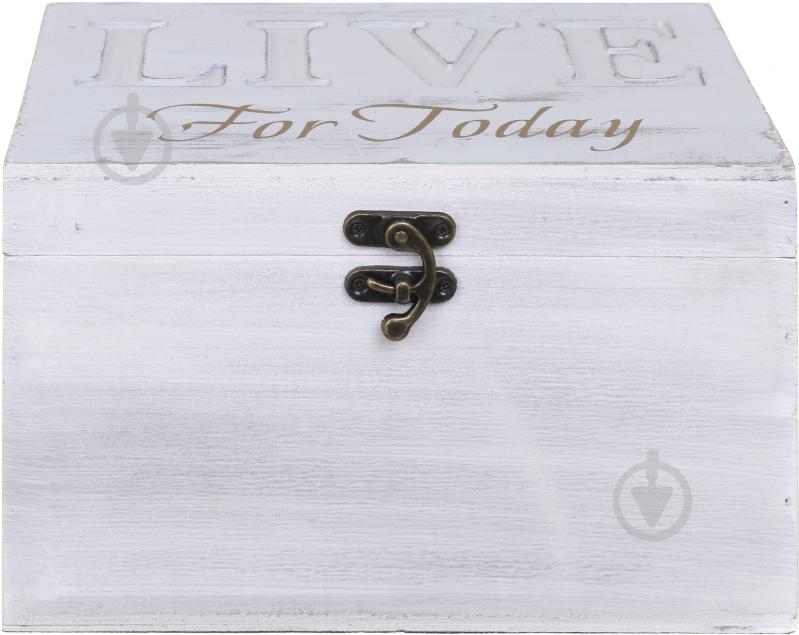 Скринька Live SH72308-M 28х18х18 см - фото 2