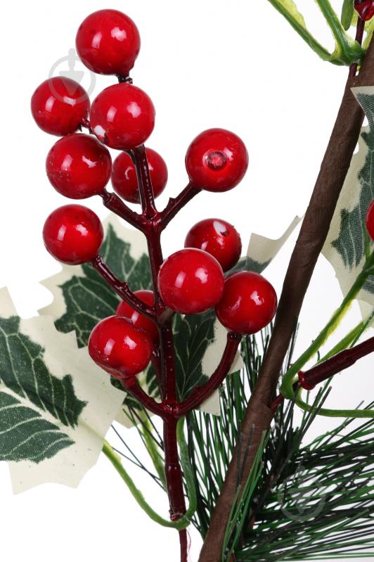 Горобина біла 60 см - фото 2