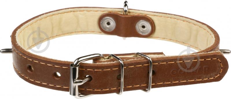 Ошейник Collar двойной с шипами 2х32-40 см 01466 - фото 1 Ошейник Collar двойной с шипами 2х32-40 см 01466 - фото 1