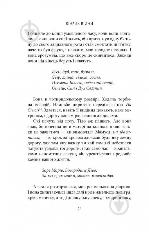 Книга Джозеф О'Конор «Водоспад Спасіння» - фото 12 Книга Джозеф О'Конор «Водоспад Спасіння» - фото 12