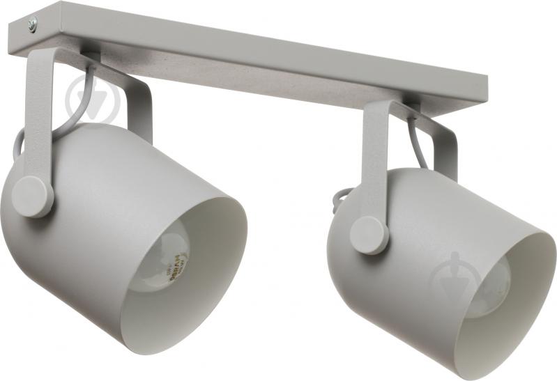 Спот TK Lighting 2616 Spectra 2x60 Вт E27 сірий із білим - фото 1