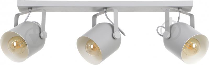 Спот TK Lighting 2617 Spectra 3x60 Вт E27 сірий із білим - фото 1